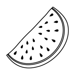 fresh watermelon fruit isolated icon