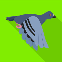 Obraz premium Pigeon vector icon.Flat vector icon isolated on white background pigeon.