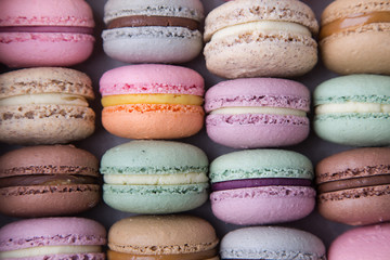 Colorful macaroons of pastel colors in the box