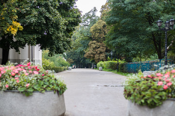 Fototapeta premium Ogród Saski - Park, Warsaw, Poland