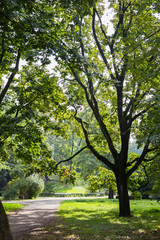 Naklejka premium Ogród Saski - Park, Warsaw, Poland