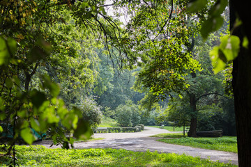 Ogr&oacute;d Saski - Park, Warsaw, Poland