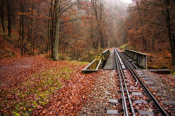 narrow gauge railway - hiking in the Rabenauer Grund