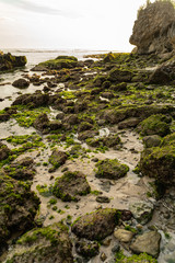 Beautiful rocky coast with seaweed stock photo