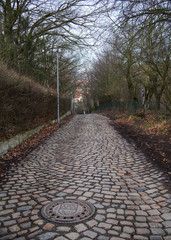 Paved path in the Bohnice district of Prague