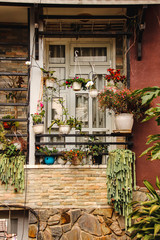 Beautiful house plants decorating a small rustic balcony in the old french quarter in Hanoi, Vietnam