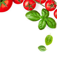 Food Creative layout made of fresh vegetables and basil leaf herb. Flat lay. Top view