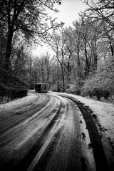 road in winter forest