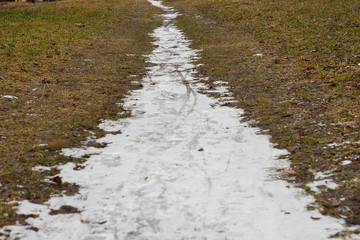 forest park winter ice snow path perspective