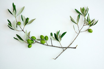 Olive branch with green olives isolated on white background.