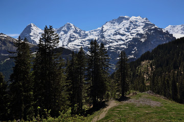 Eiger, Monch and Jungfrau on the horizon in the Bernese Alps, Switzerland.  Shot from just outside the village of Murren.