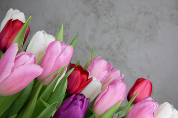 Flower background. Tulip flowers on blurry concrete background. Mother day flowers on concrete background.