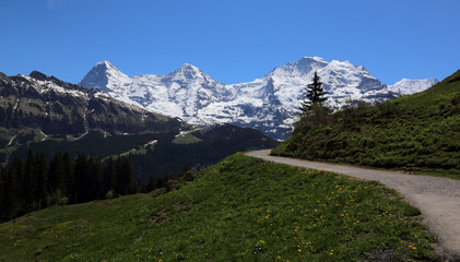 The trail to Murren with Eiger, Monch and Jungfrau on the horizon in the Bernese Alps, Switzerland.