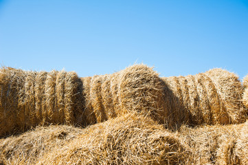 Storage with piles of stacks of hay
