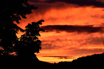 Fototapeta premium Silhouette of trees and mountains in background at sunset.