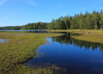 Obraz na płótnie Canvas Landscape near Backefors, Dalsland, Sweden. Lake Marsjon and forest.