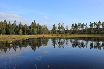 Shore of Lake Marsjon, Dalsland, Sweden.