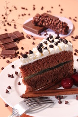 piece of chocolate cake