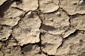 Dry and cracked mud in a river bed