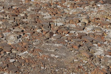 Fototapeta premium brown stone texture of dirty cobblestones and old bricks in the sidewalk on the street