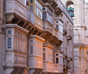 Closeup portrait of Galapagos giant tortoise ,Chelonoidis nigra, with powerful paws, bright black armour and wrinkled neck