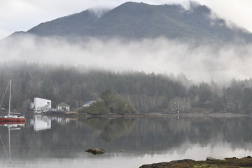 fog on the lake