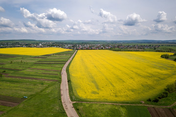 Fototapeta premium Aerial view of ground road with moving cars in green fields with blooming rapeseed plants, suburb houses on horizon and blue sky copy space background. Drone photography.