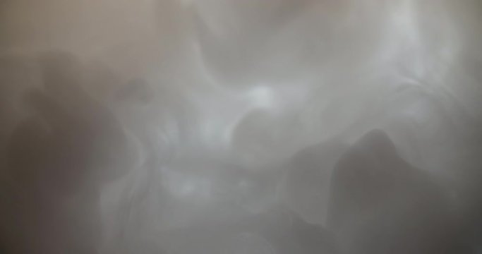 Smoke Steam Grey White Background abstract Video 4K Loop