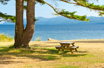 Picnic table in shade of double tree at the Palm Beach, Vancouver, Canada