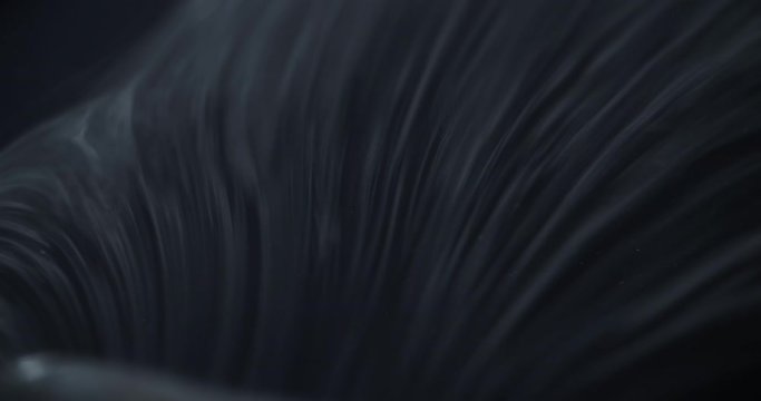 Smoke slow motion on Black surface background abstract
