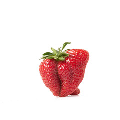 Ugly strawberry on white background