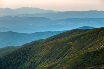 Fototapeta premium Landscape view of green majestic Carpathian mountains covered with light mist in dawn.