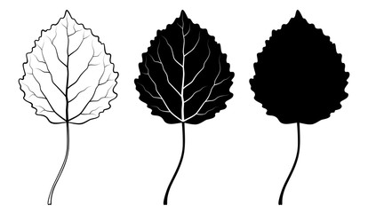 Aspen leaf. Vector illustration. Outline, silhouette, line art drawing