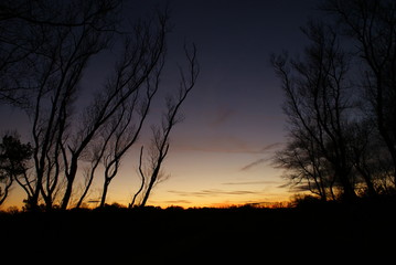 Cr&eacute;puscule hivernal