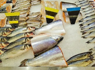 Fresh fish in ice with price tags
