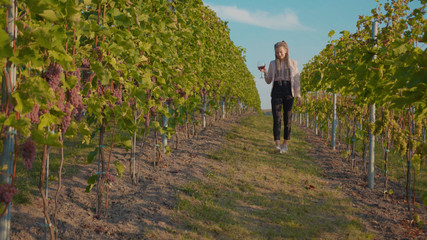 Stylish woman walk vineyards with glass of red wine smile feel happy organic connecting with nature agriculture sunny travel countryside field grape green rural view tasting slow motion