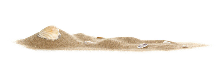 Fototapeta na wymiar Isolated seashell on sand, white background