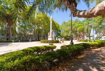 Argentina Rosario May 25 square tropical gardens