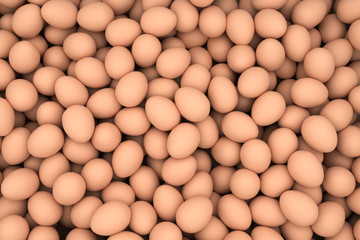 Chicken  Eggs
