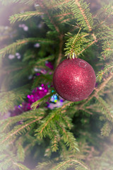 Christmas tree toy hanging on a green fir tree on the street