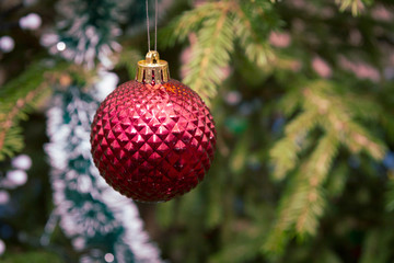 Christmas tree toy hanging on a green fir tree on the street