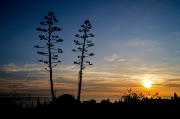 Sant Peter, Estoril