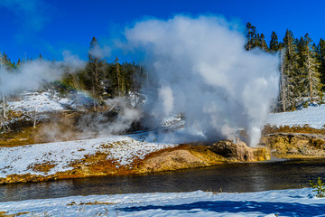 RIVERSIDE GEYSER, YELLOWSTONE