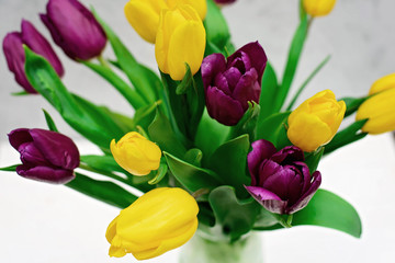 Bouquet of purple and yellow spring tulip flowers on a light background close-up. Copy space. Mothers Day. International Women's Day.
