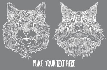 Breeds of cats. Children's coloring, meditative coloring. mainean, Persian cat. A meditative picture. Dots, stripes, wool.