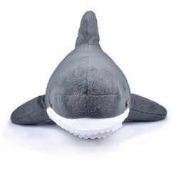 Shark soft toy on a white background