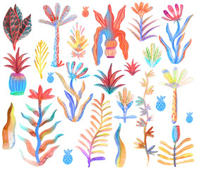 Watercolor illustration. Raster. Stylized plant. Set of exotic plants