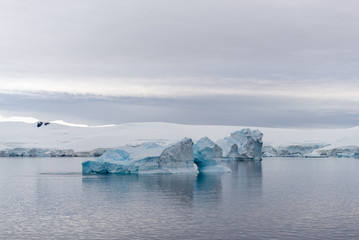 Fototapeta na wymiar Antarctic landscape with iceberg, view from expedition ship