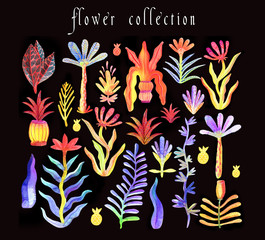 Watercolor illustration. Raster. Stylized plant. Set of exotic plants