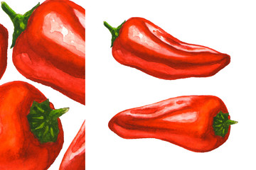 Red mini peppers. Fresh sweet paprika. Hand drawn watercolor illustration isolated at white background. Design for the label, cover packaging and menu.